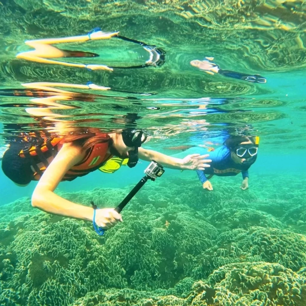 Phu Quoc snorkeling tour – Discover Coral Mountain & Half-Moon Reef - AN Tours