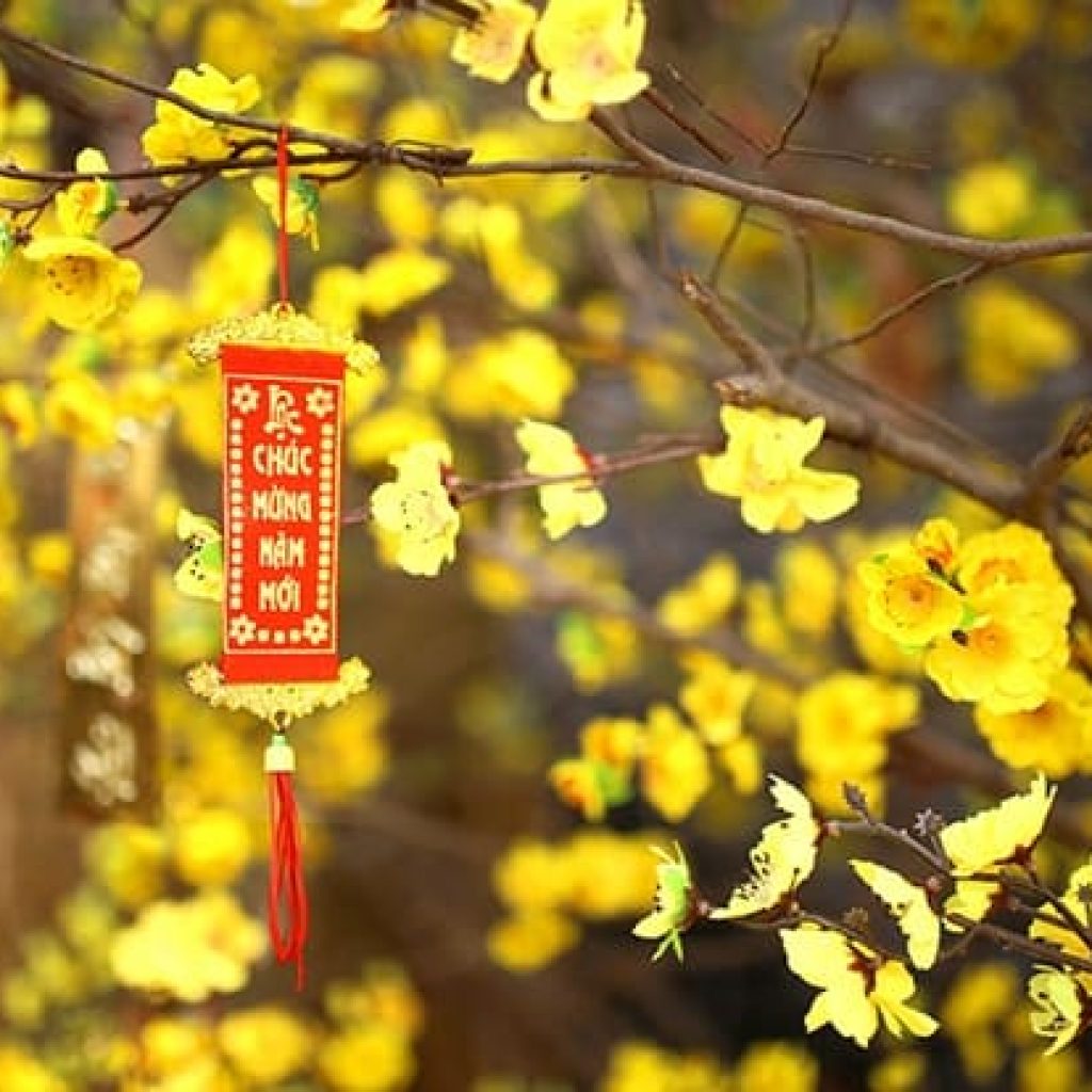 Lunar New Year in Vietnam - AN Tours Vietnam