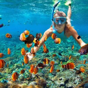 Feeding Fish During Phu Quoc Snorkeling - The Hidden Harms