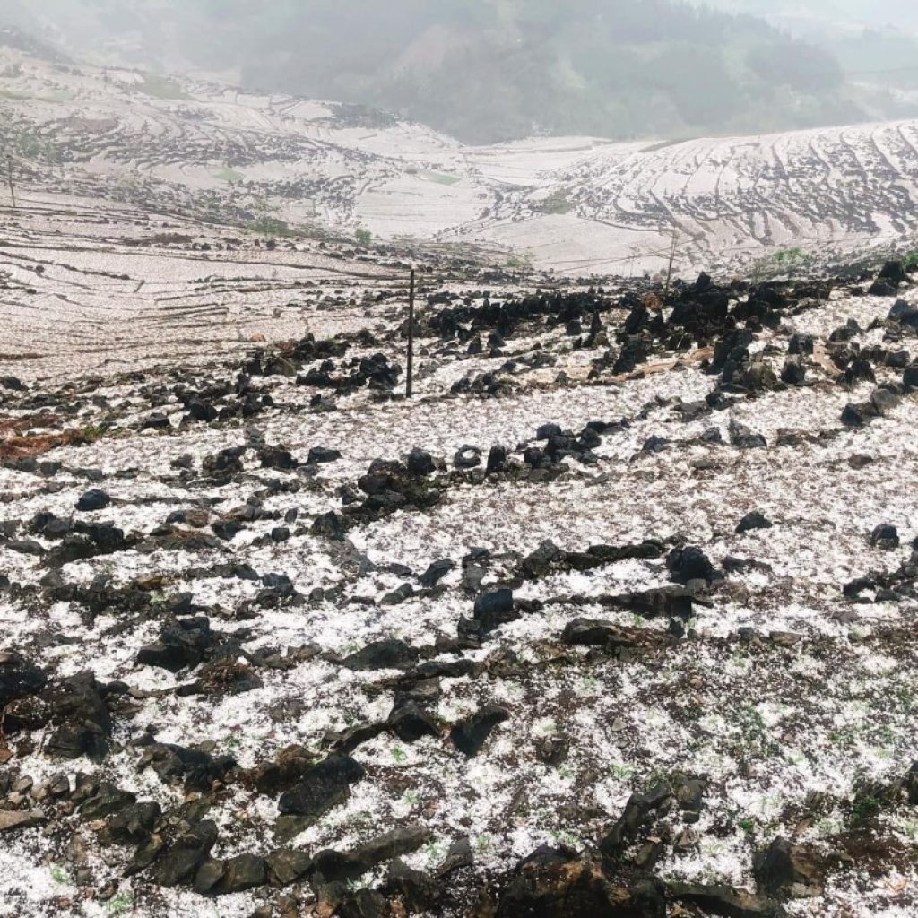 Sudden hail in Ha Giang damaged billions of VND