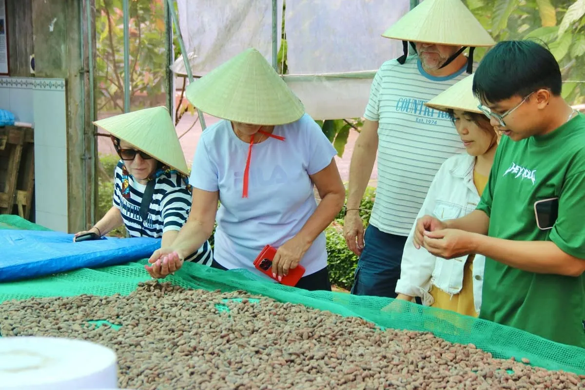 Cacao Farm, Waterfall & Rice Field Tour