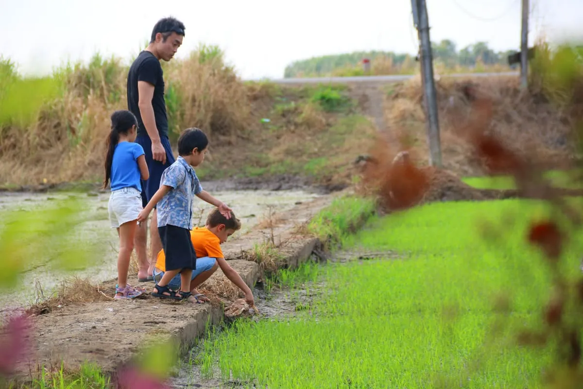 enjoying rice field in vietnam