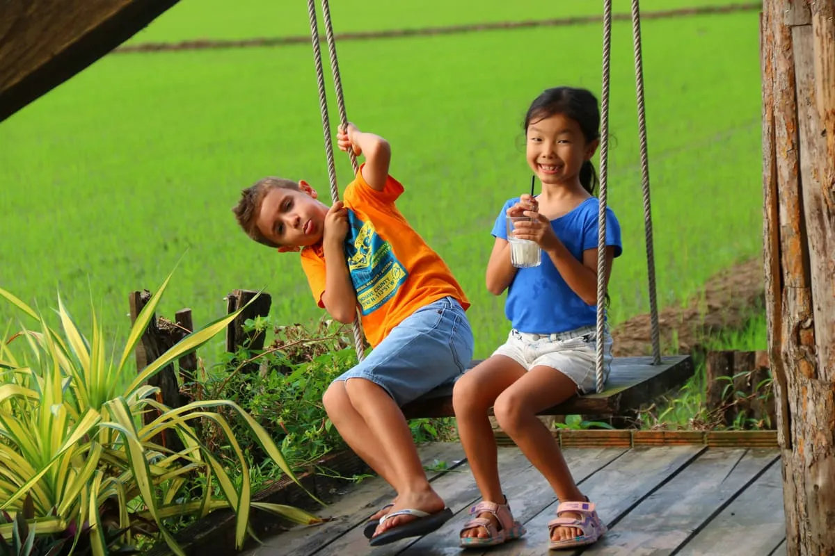 rice field cafe vietnam