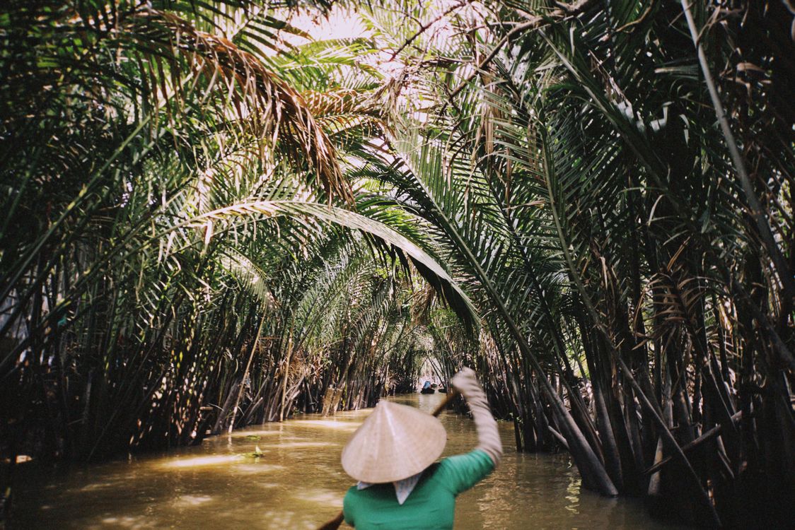 Serene boat ride through palm groves in the Mekong Delta, southern Vietnam