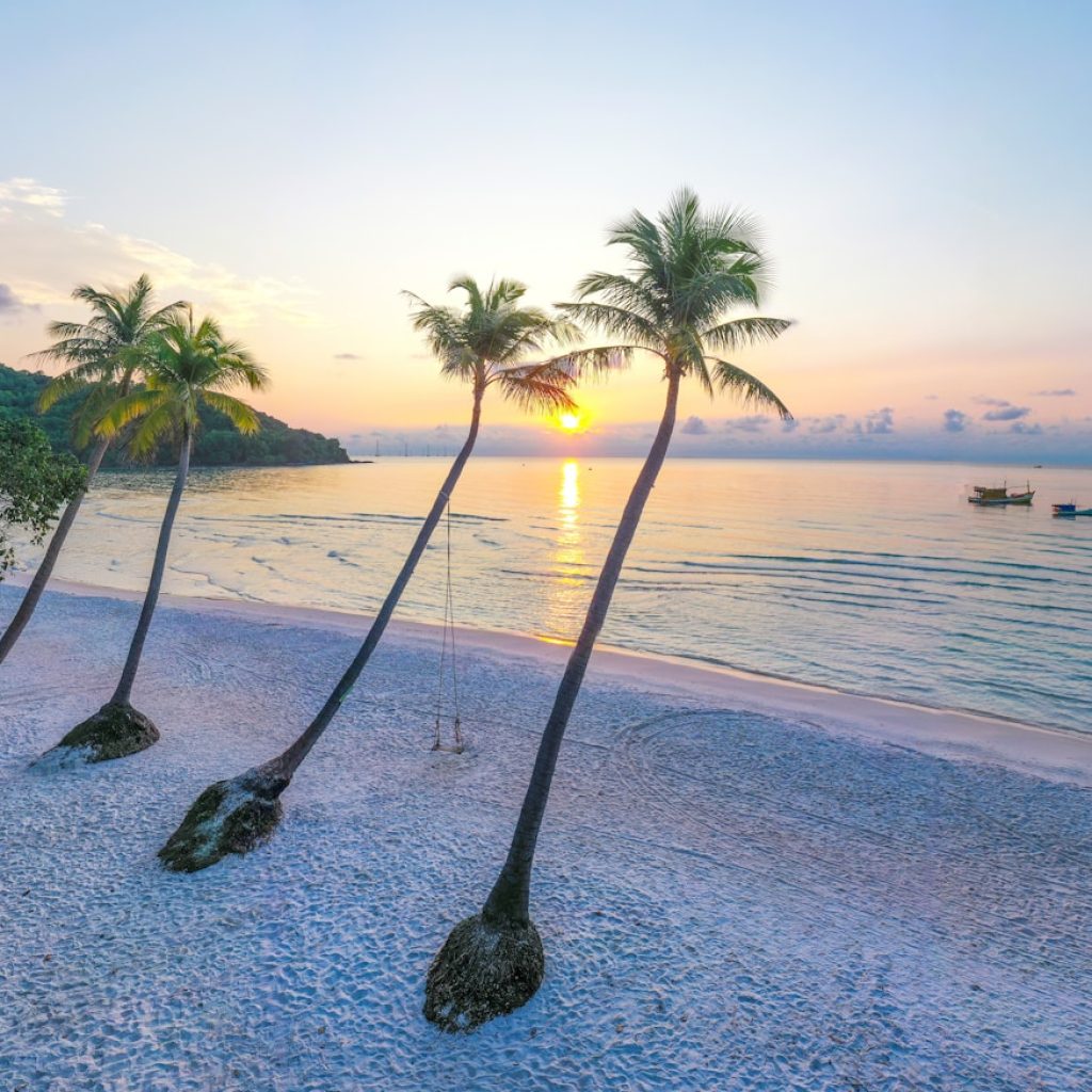Sao Beach Phu Quoc with palm trees and turquoise sea