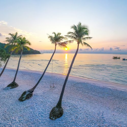 Sao Beach Phu Quoc with palm trees and turquoise sea