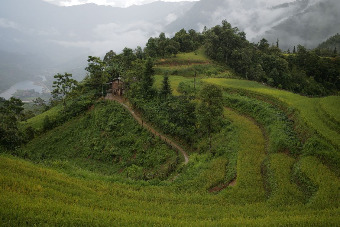 Misty mountains and rice terraces near a hilltop house in northern Vietnam