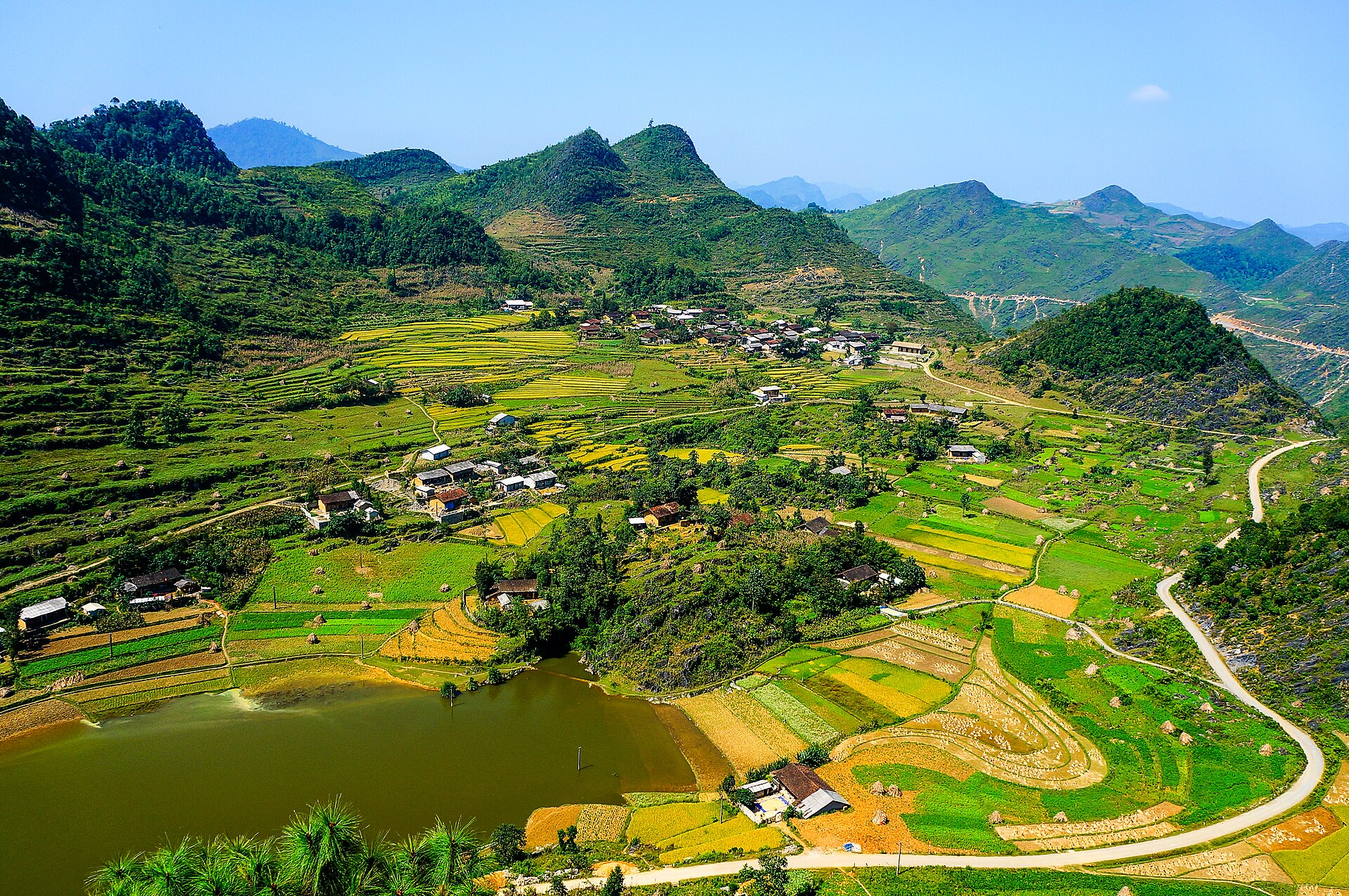 Terraced rice fields in Ha Giang turning golden in October