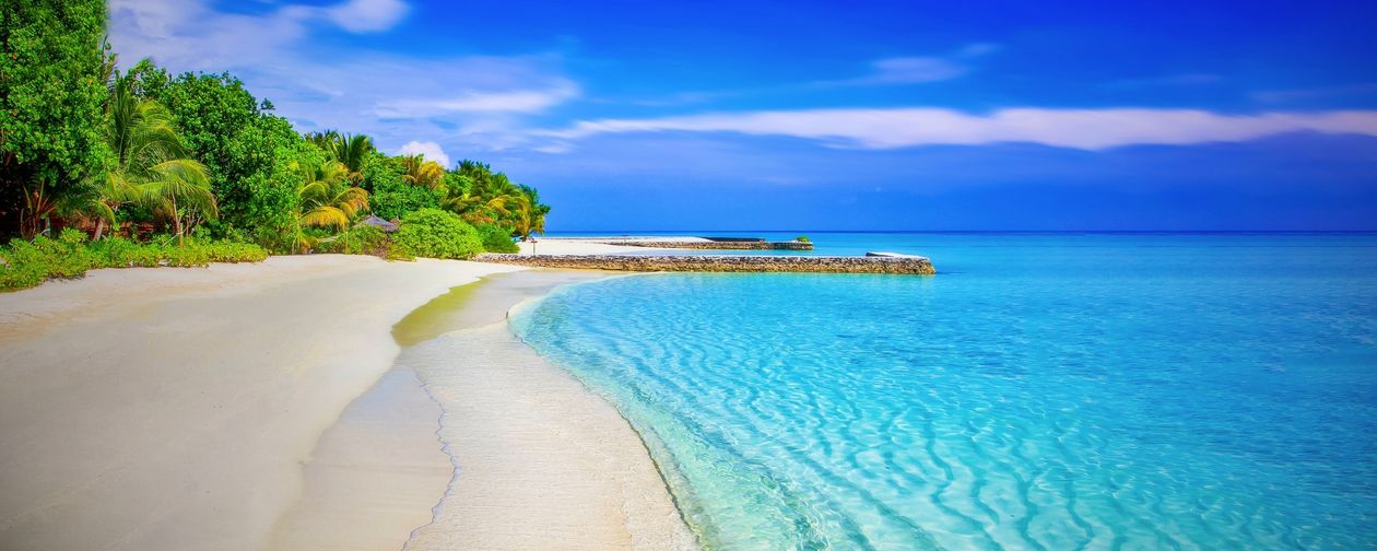 Tropical beach in bright daylight