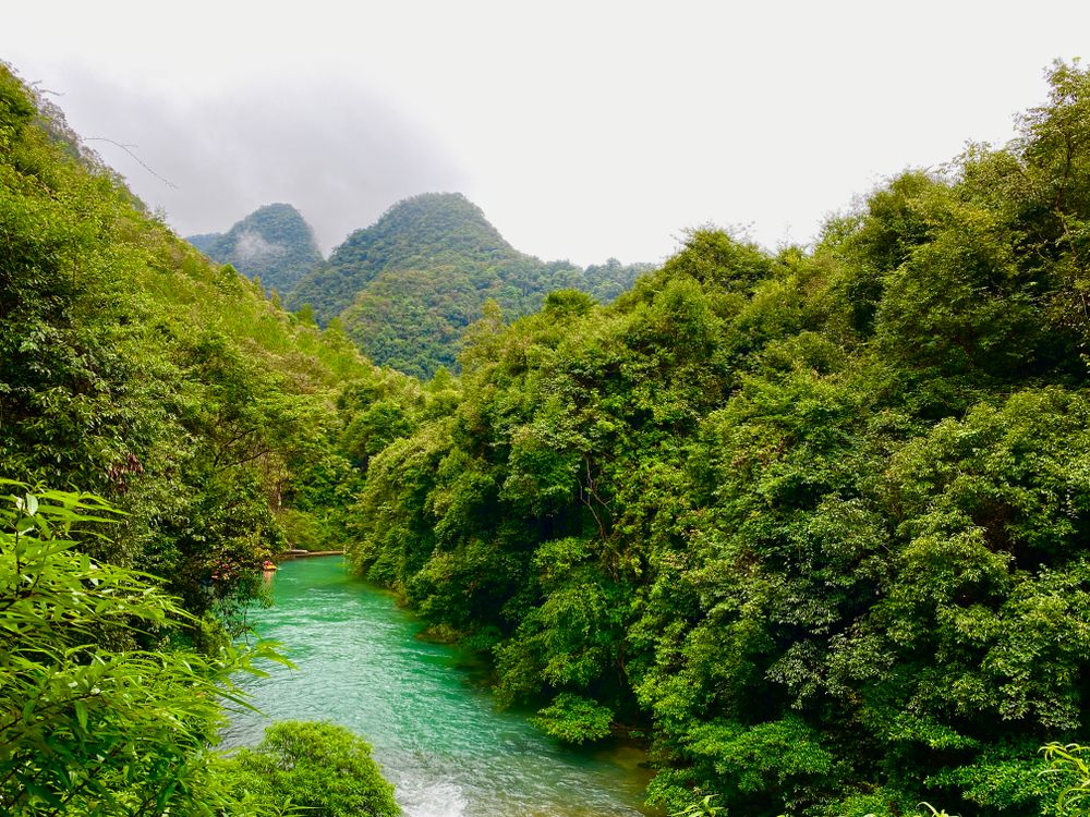 Green jungle river winding through limestone karst mountains in Quang Binh Province, home of Phong Nha