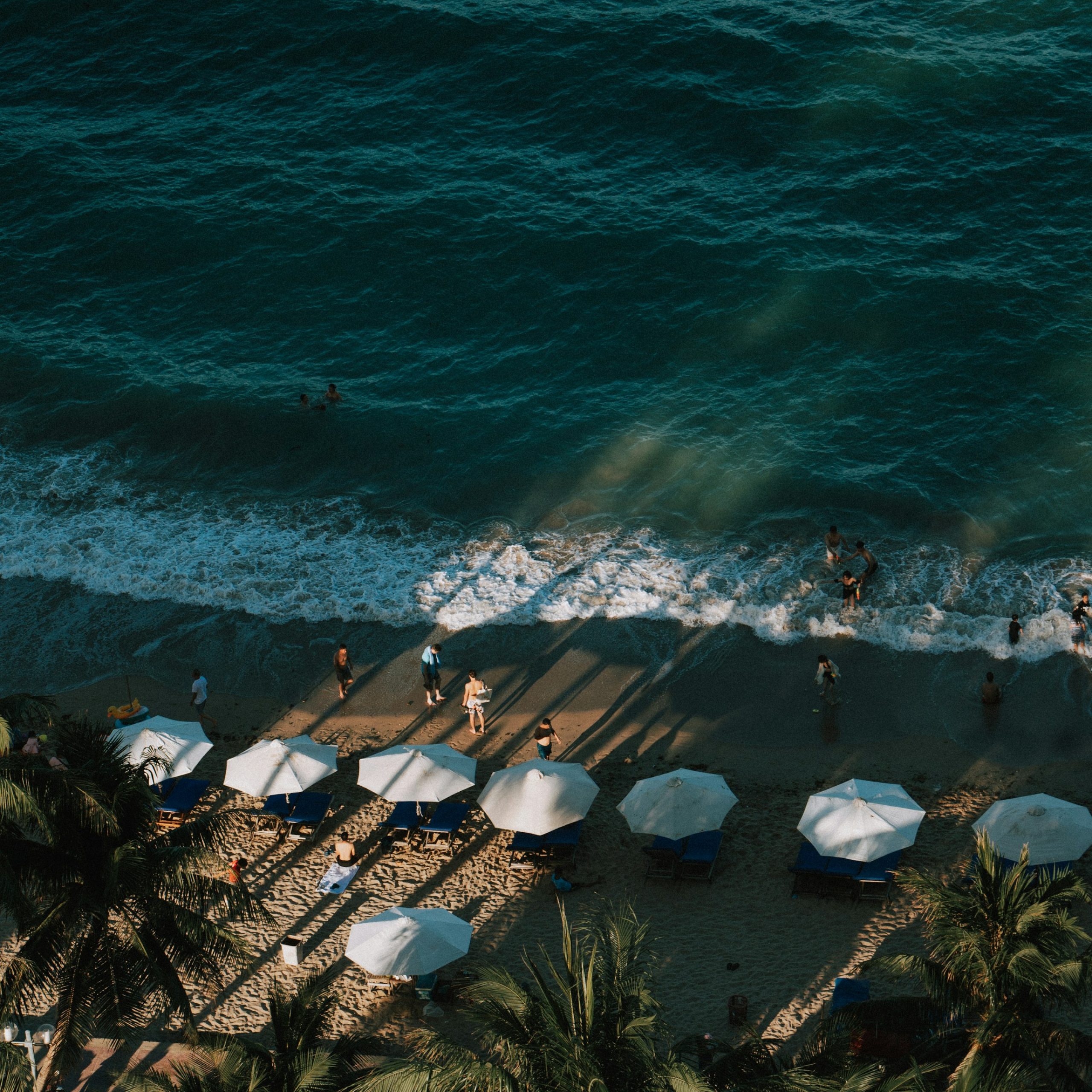 Aerial view of swimmers, white beach umbrellas, blue loungers, and coconut palms in Nha Trang