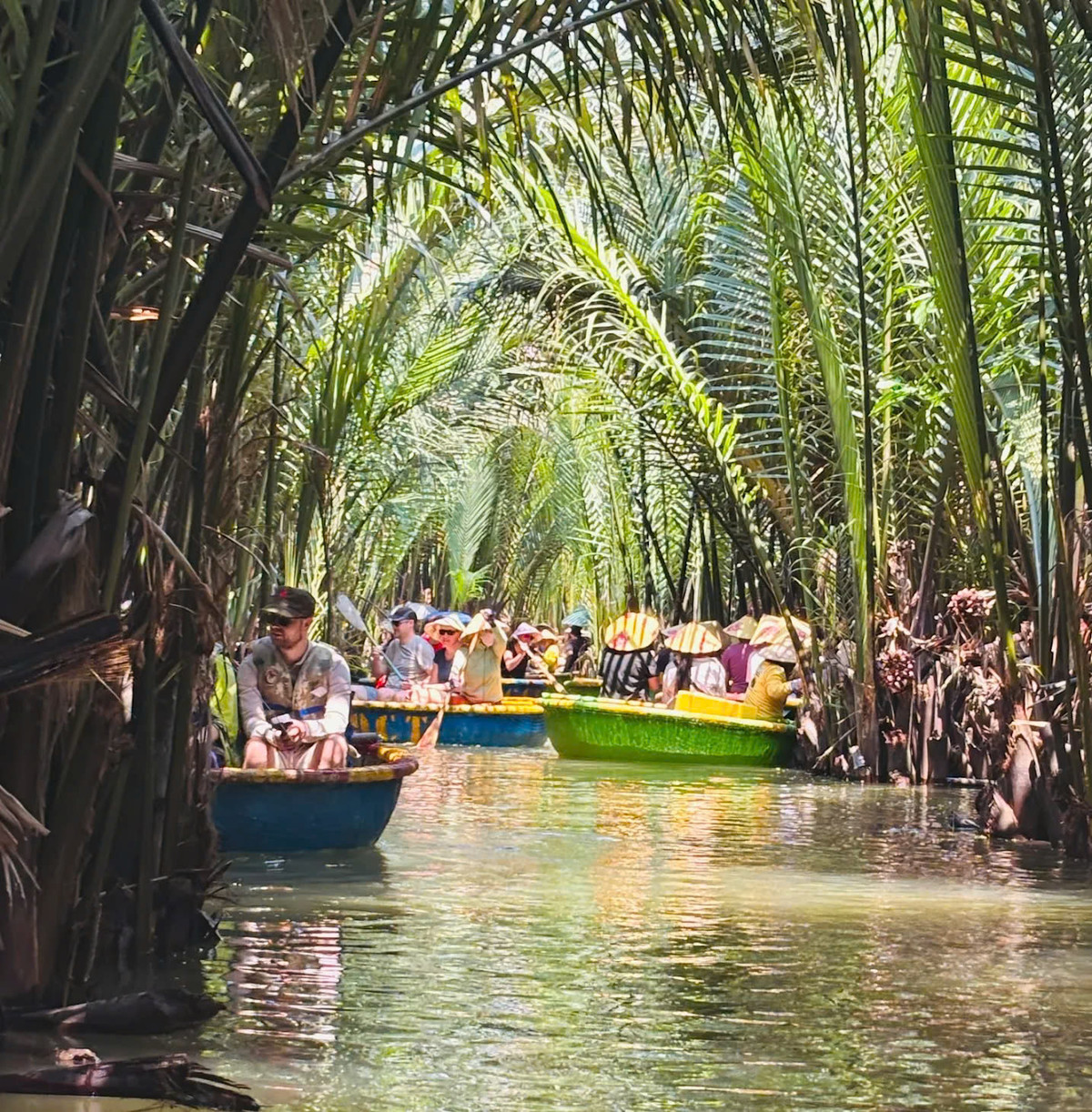 Basket boats passing beneath arching water palms in Cam Thanh coconut forest.