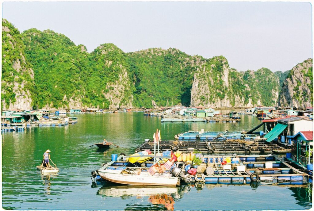 Cat Ba floating fishing village with lush limestone mountains