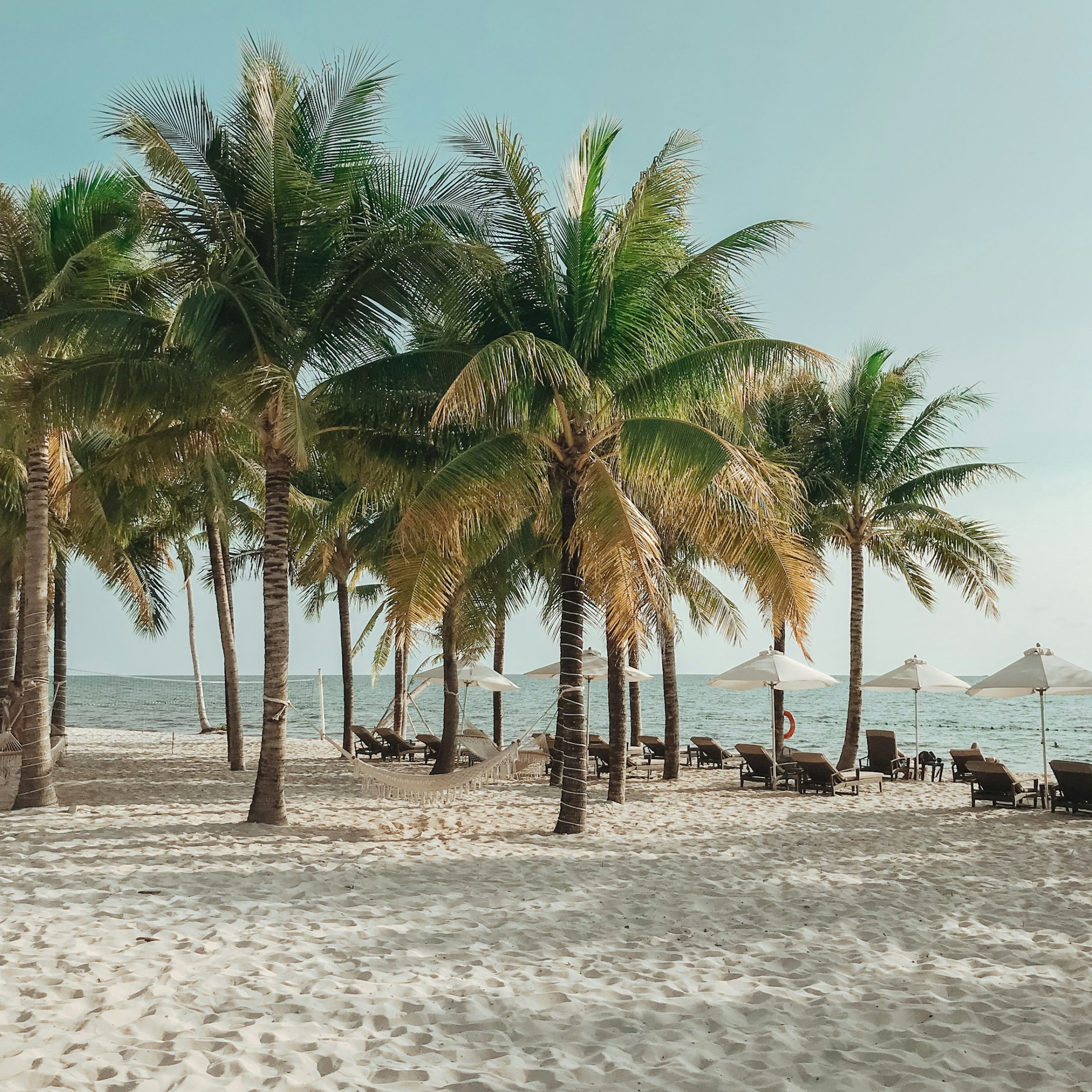 Coconut palms, hammocks, loungers, and white umbrellas along a sandy Vietnamese beach