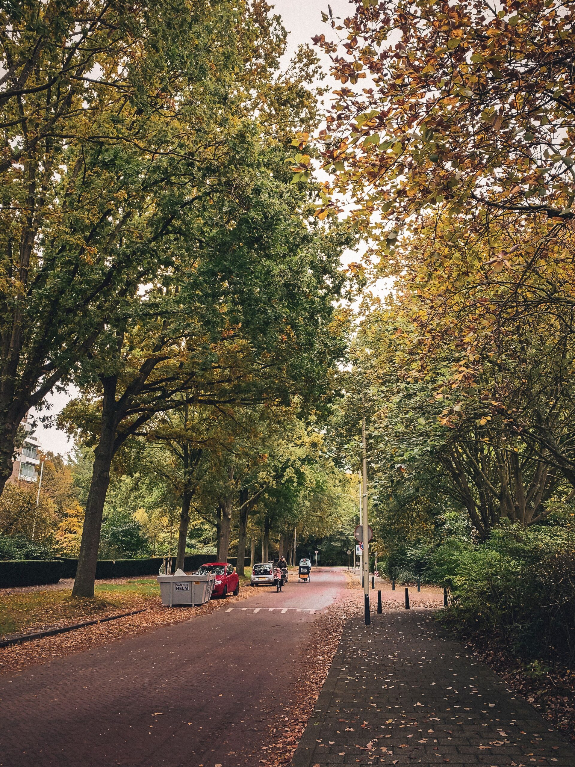 Autumn trees line a street in The Hague.