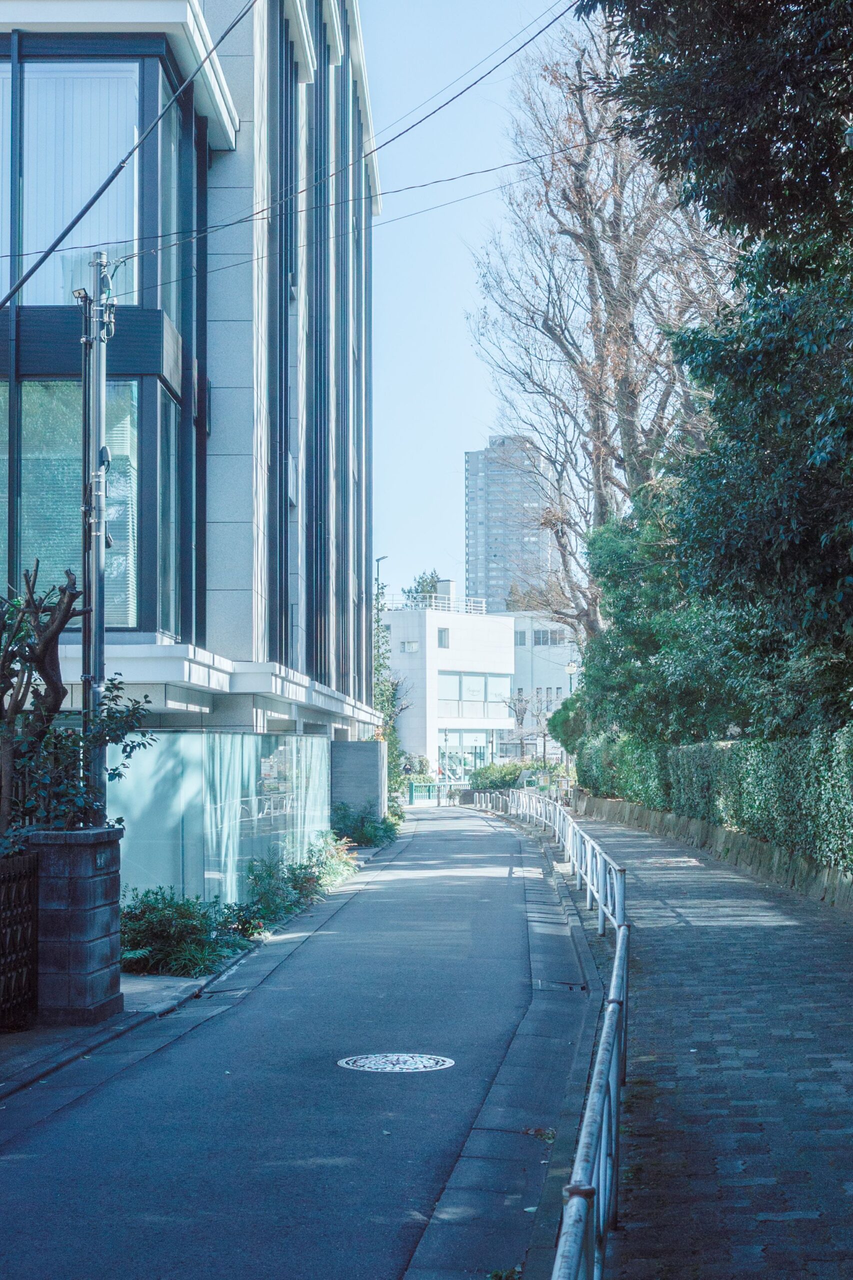 A quiet paved walkway beside modern buildings and greenery in Shibuya ward.