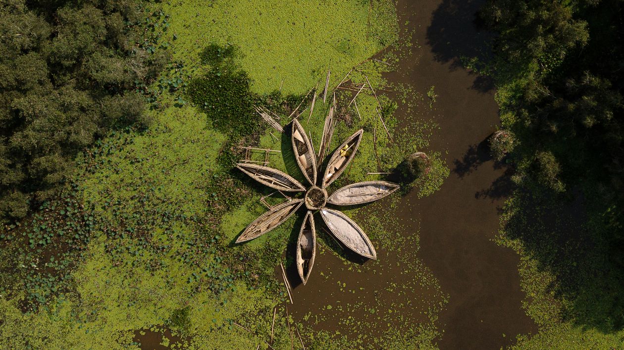 Boats on a vegetation-filled Vietnamese river