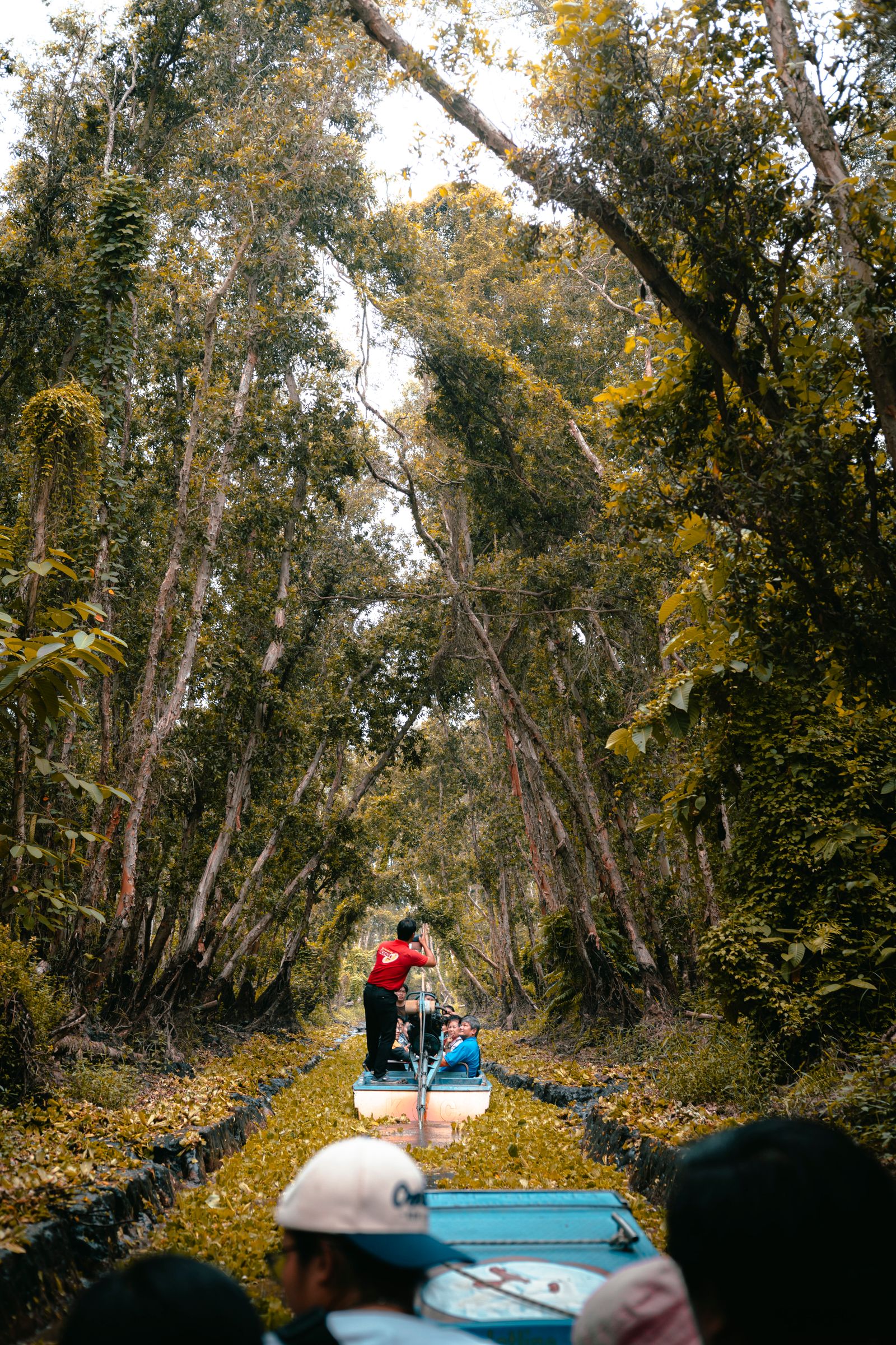 Boat ride through a forest canal in Chau Doc, An Giang