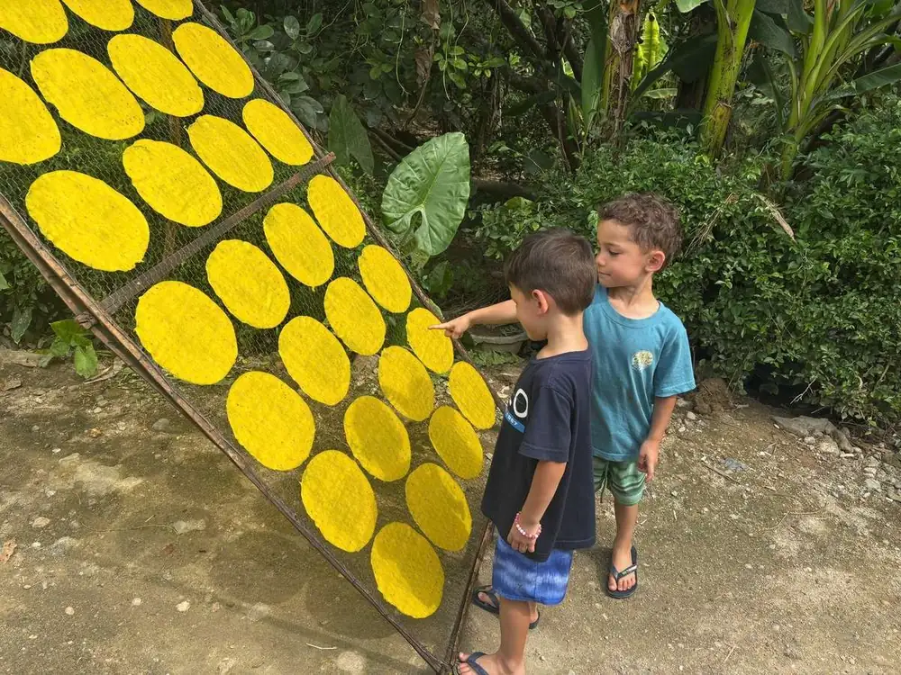 Guests at the rice paper drying racks in the Hue rice paper village