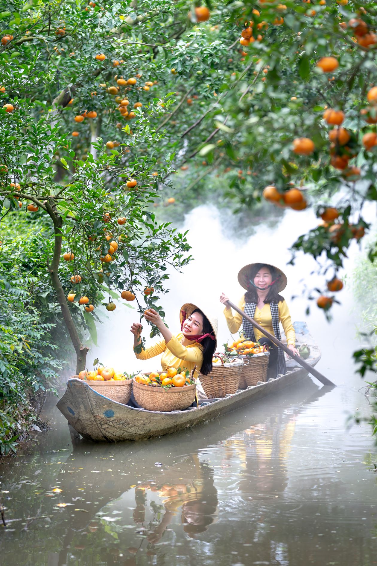 Women harvesting citrus from a boat on a tree-lined canal