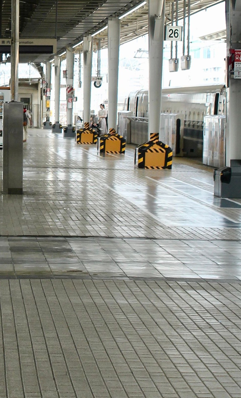 Roofed railway platform and train in Osaka
