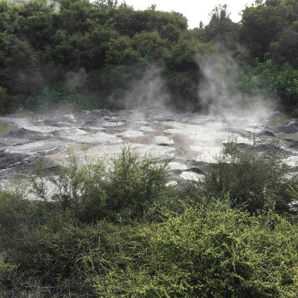 Steam rising from mineral-rich geothermal pools surrounded by dense green vegetation