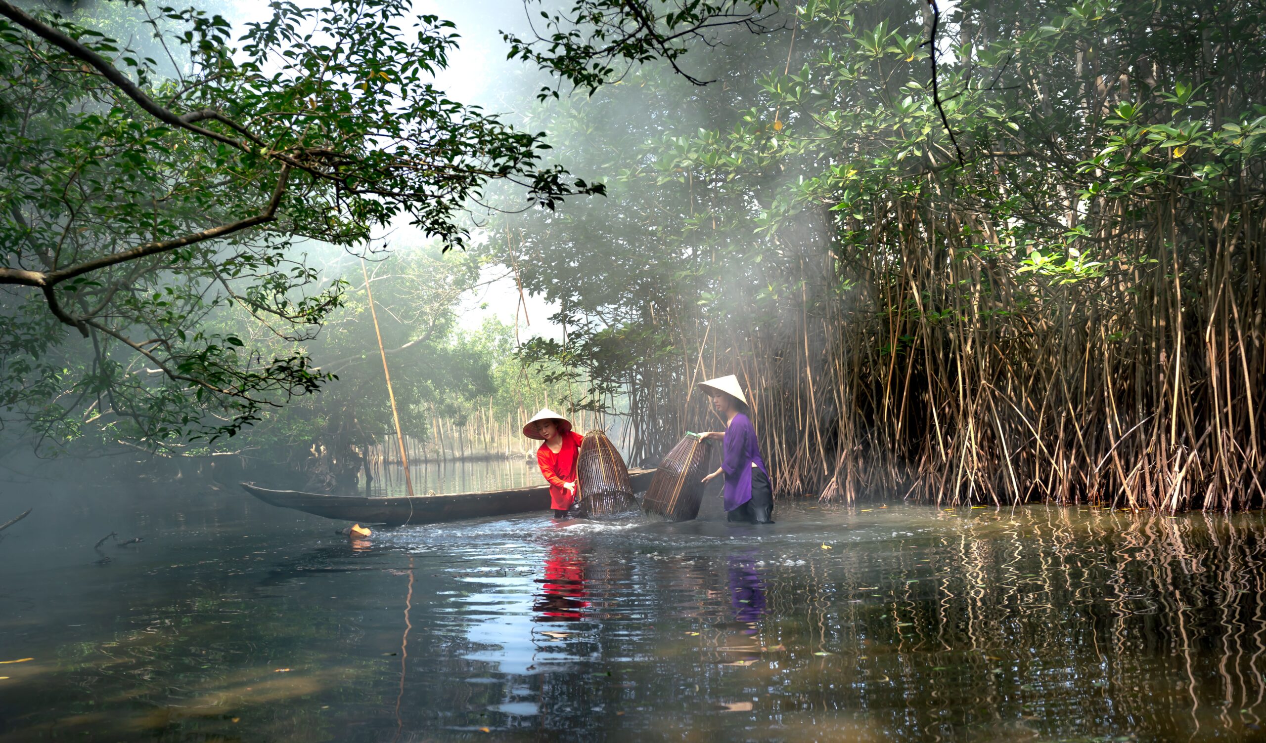 Two women fishing from a canoe beside mangroves in Vietnam