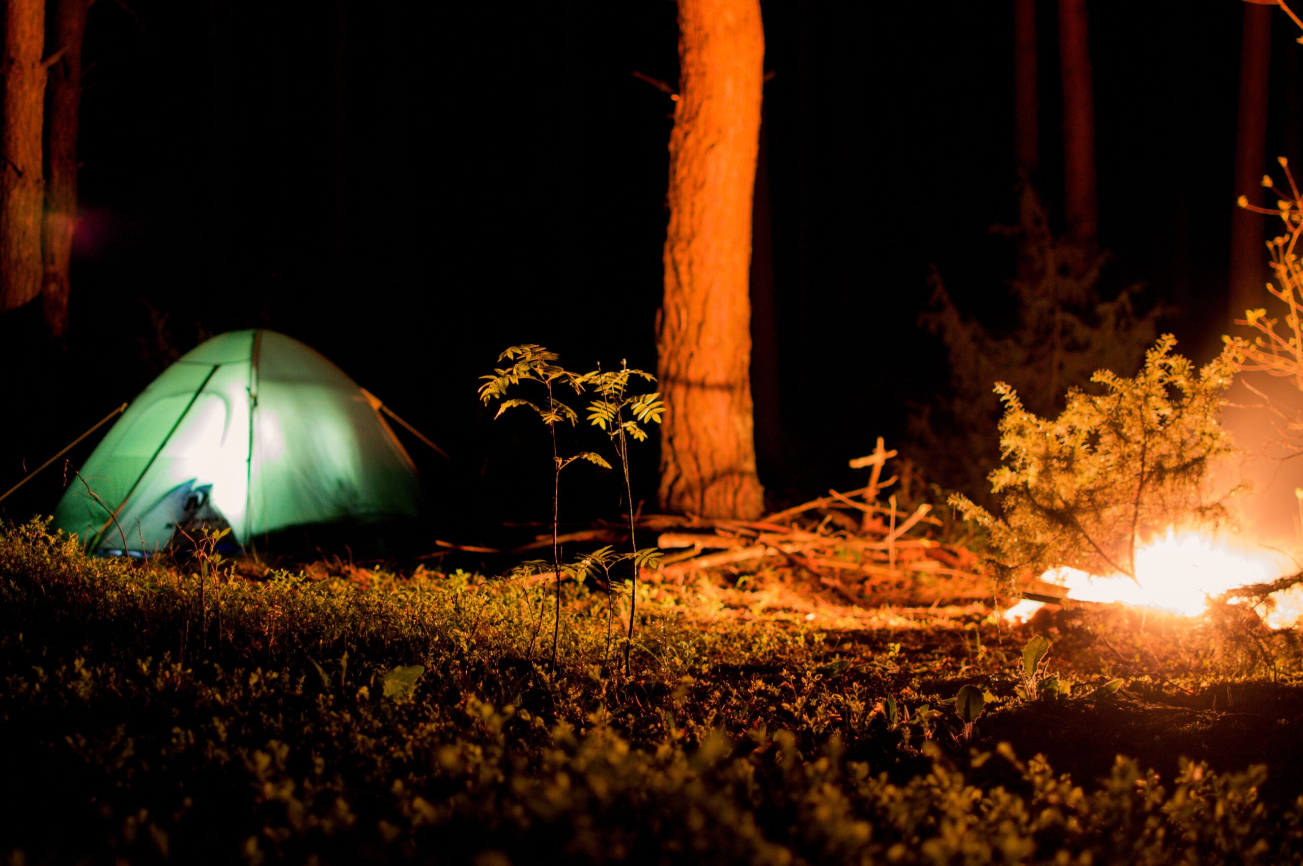 A green tent and campfire at a forest campsite at night