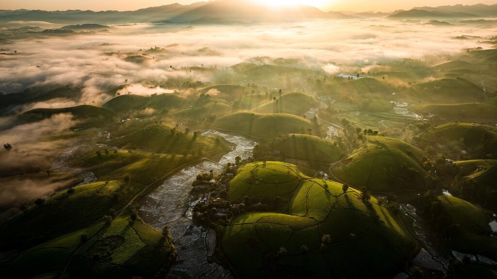 Morning sunlight and mist over the rounded tea hills of Long Coc, Phu Tho.