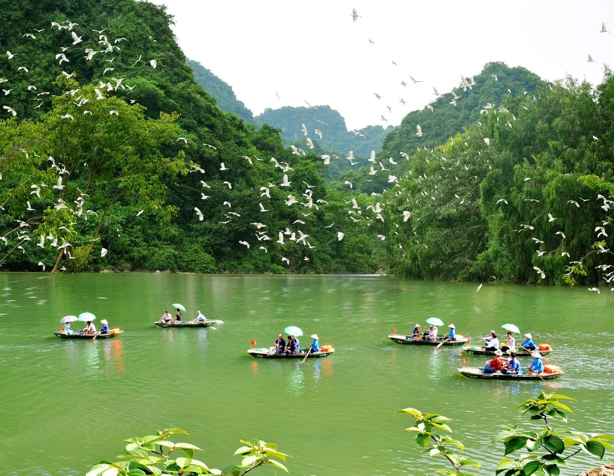 Visitors boating beside the bird habitat in Thung Nham