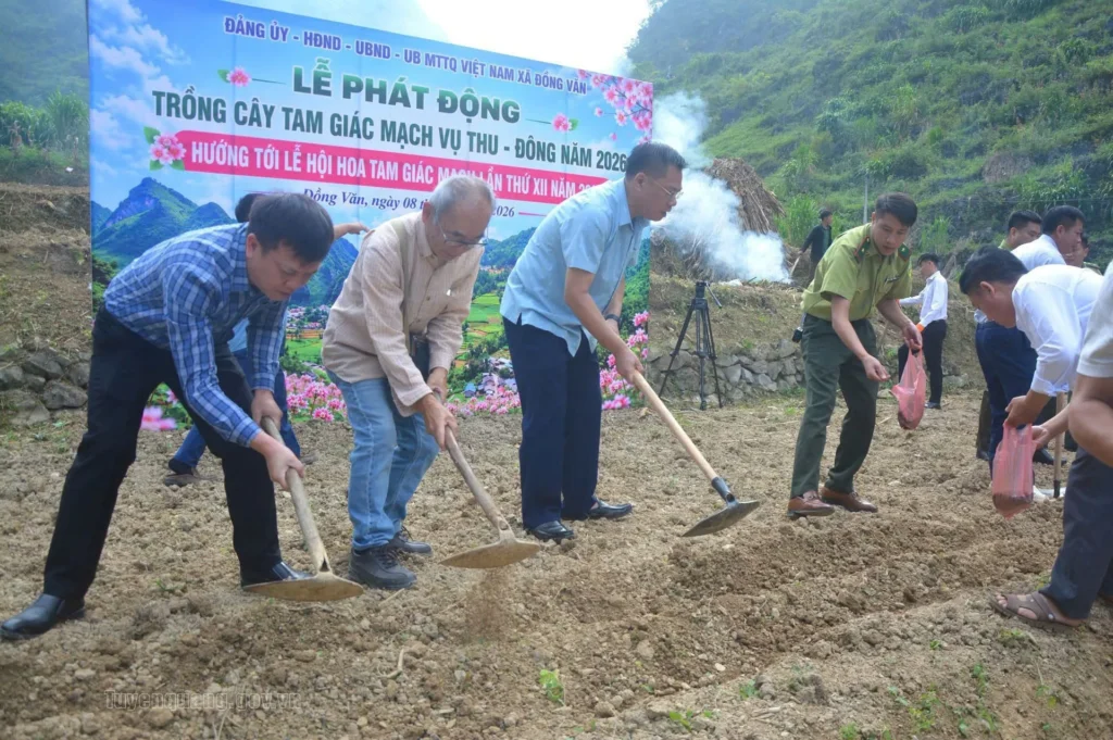 Officials and residents turn the soil during a 2026 buckwheat-planting campaign in Dong Van.