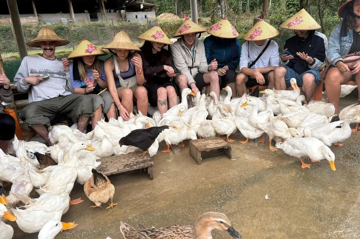 Guests wearing conical hats sitting together among a flock of ducks at Duck Farm.